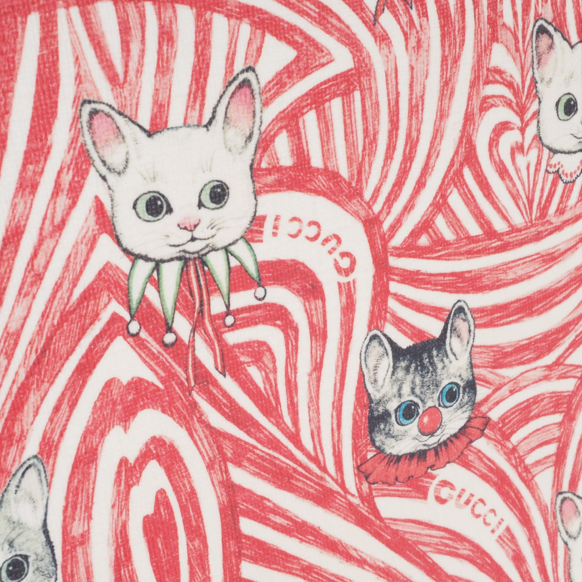 Image #12