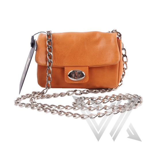 Luxus Designer Mini Crossbody