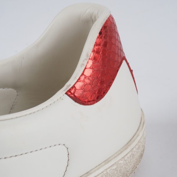 Ace Kingsnake - Image 13