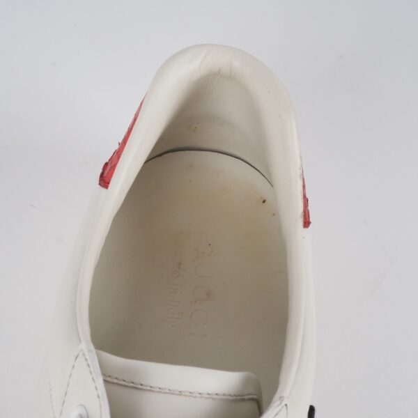 Ace Kingsnake - Image 15