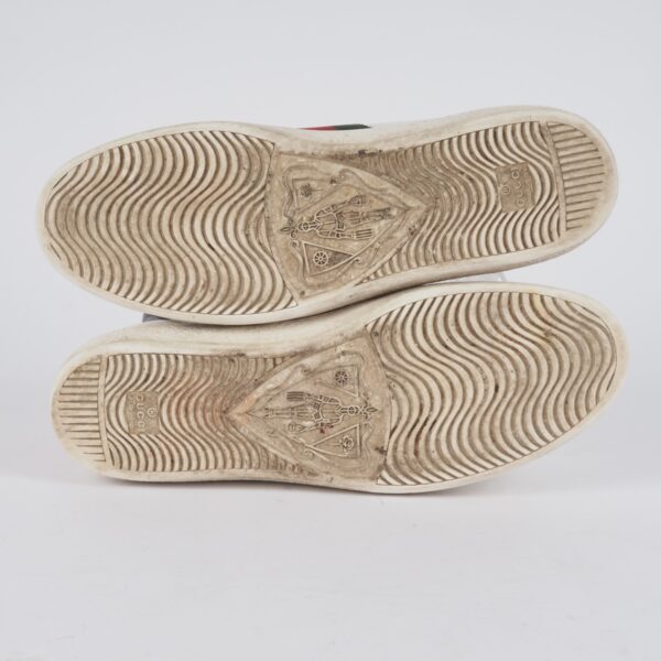 Ace Kingsnake - Image 8