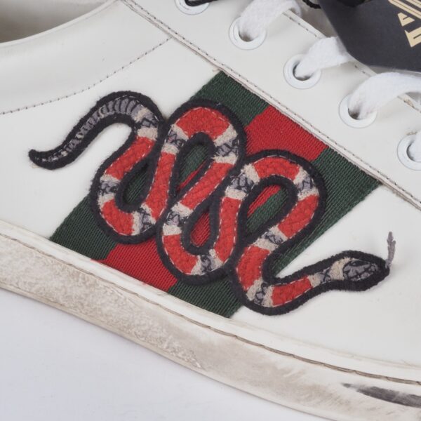 Ace Kingsnake - Image 9
