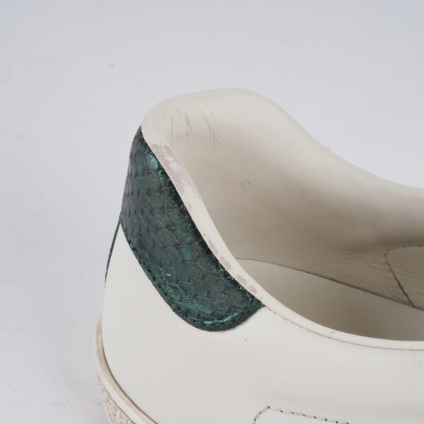 Ace Kingsnake - Image 10