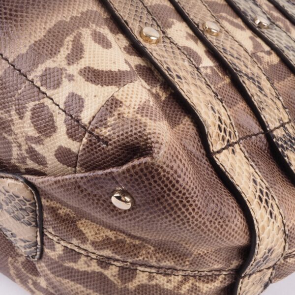 Bardia Python – Bild 11