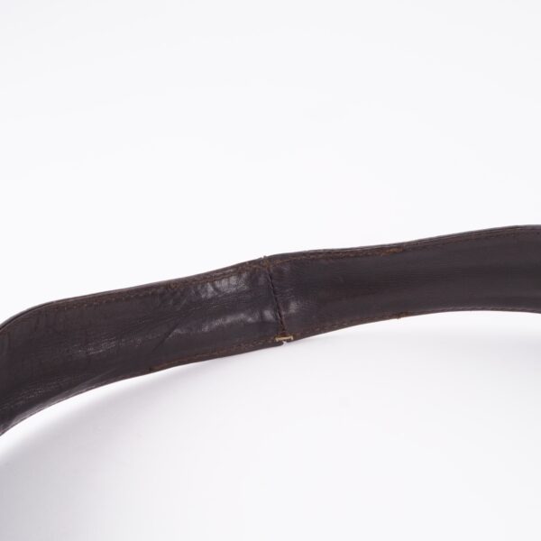 Bardia Python – Bild 12