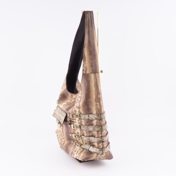 Bardia Python – Bild 5