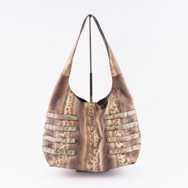 Bardia Python – Bild 6