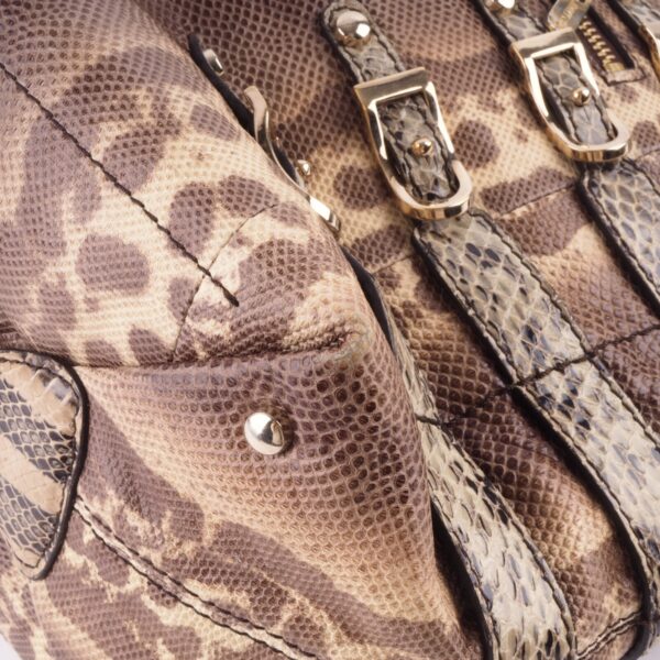 Bardia Python – Bild 9