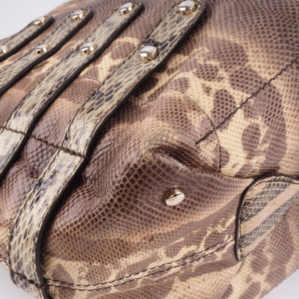 Bardia Python – Bild 10