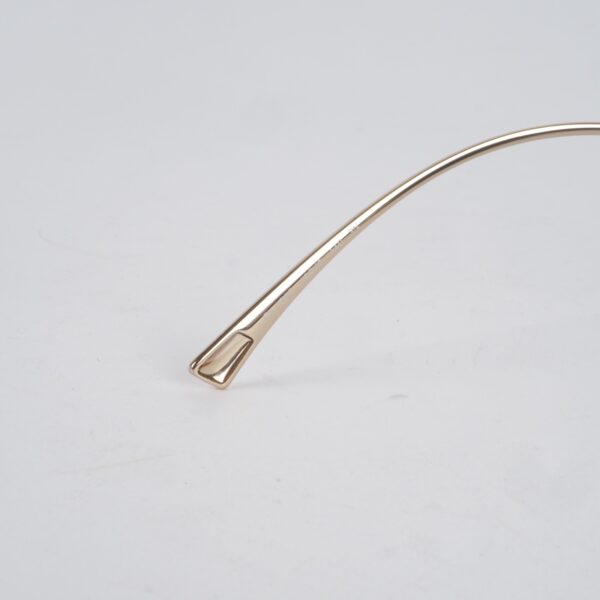 FH1007 Gold – Bild 10